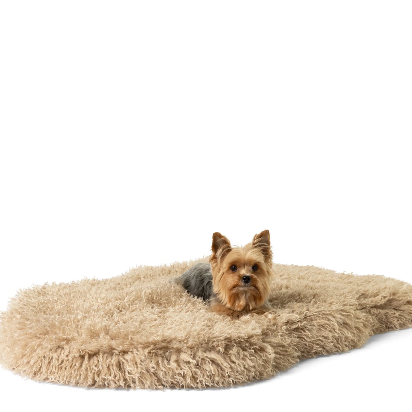 Paw.com - PupRug® Luxe Faux Fur Orthopedic Dog Bed -  Plush Sheep Tan - Dog Beds