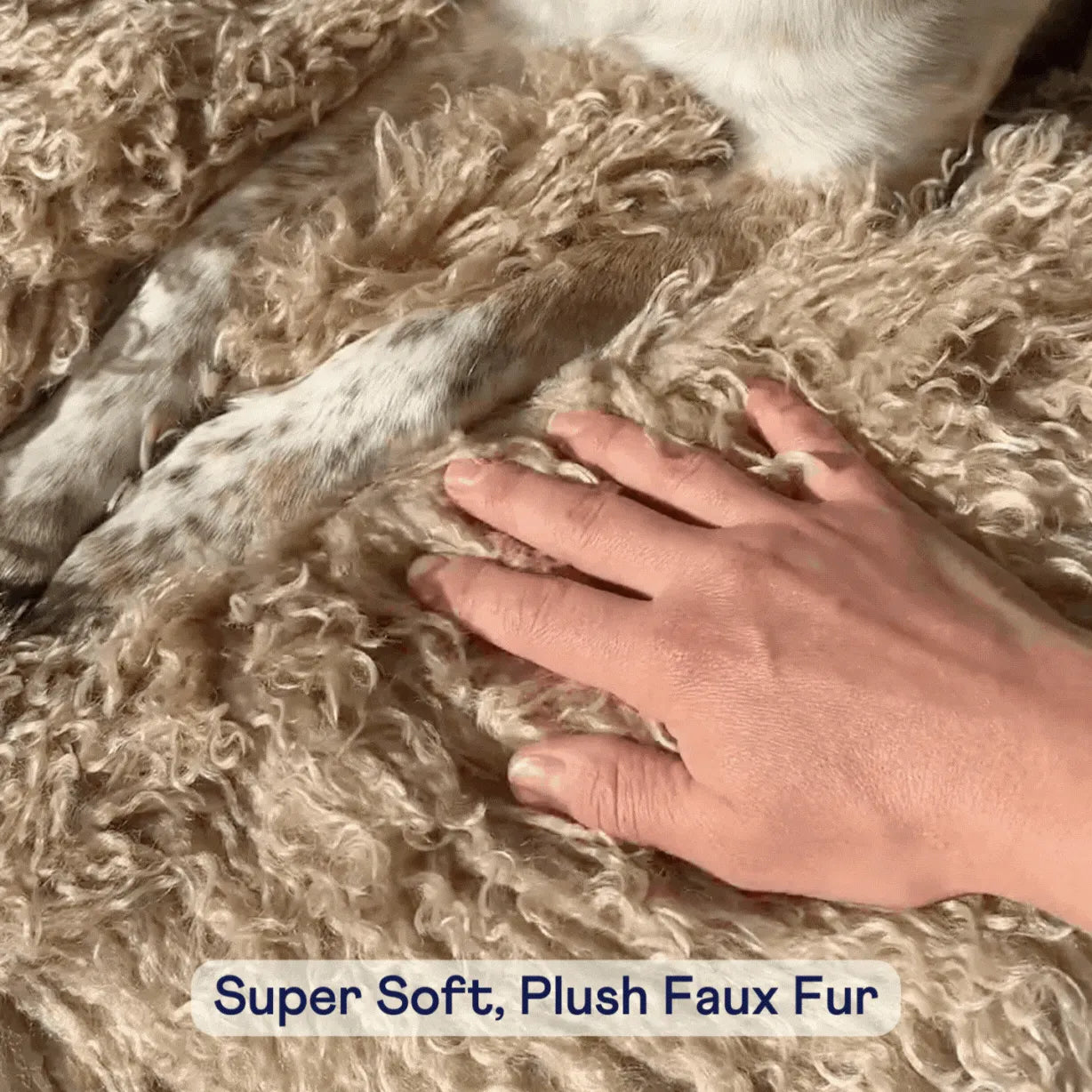 Paw.com - PupRug® Luxe Faux Fur Orthopedic Dog Bed -  Plush Sheep Tan - Dog Beds
