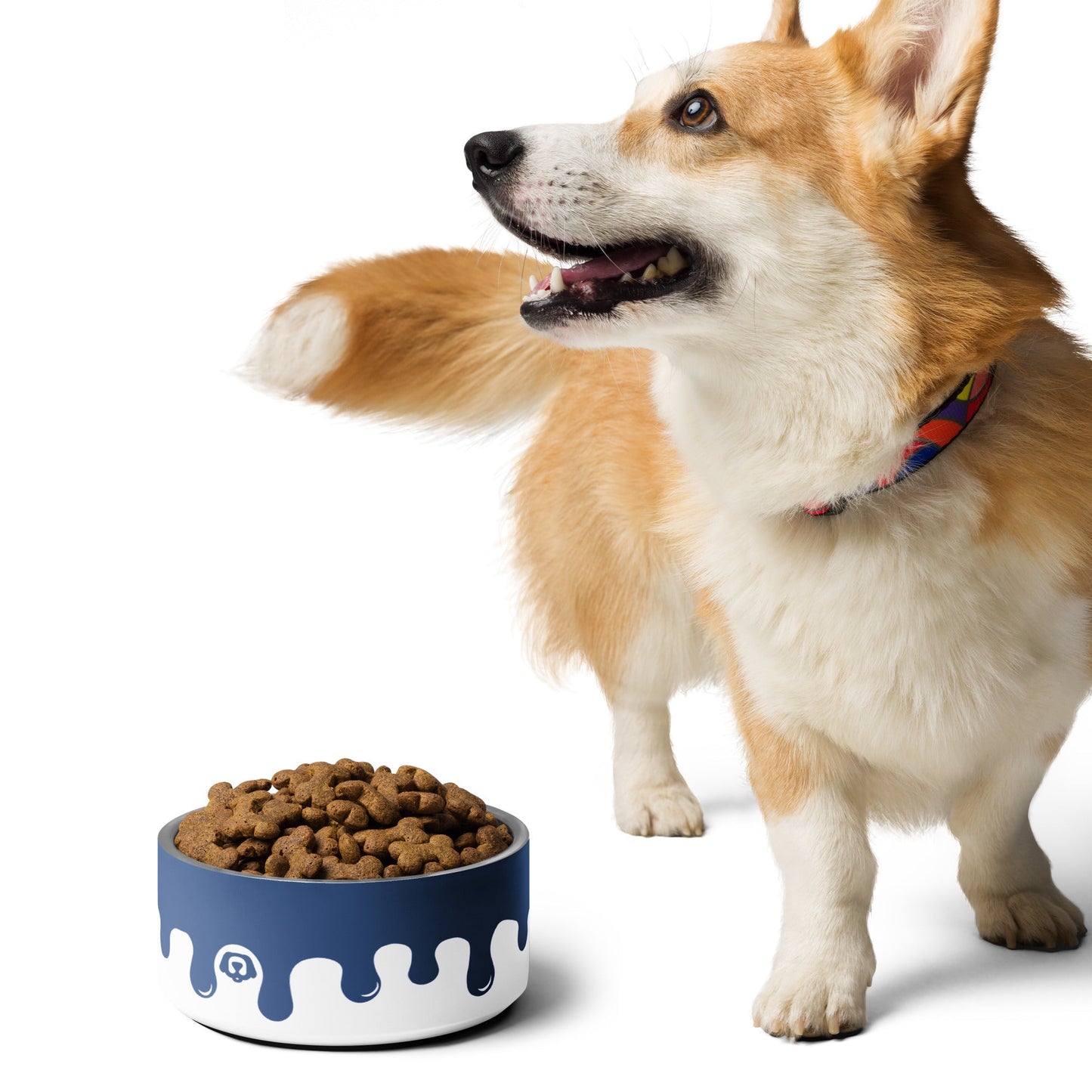 Pawcasso Blueberry Paint Drip 32oz Dog Bowl - Dog Bowls & Feeders - Wuforia