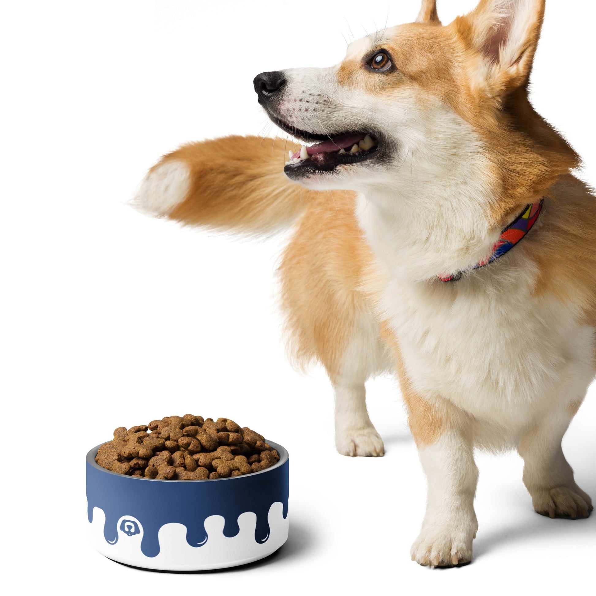 Pawcasso Blueberry Paint Drip 32oz Dog Bowl - Dog Bowls & Feeders - Wuforia