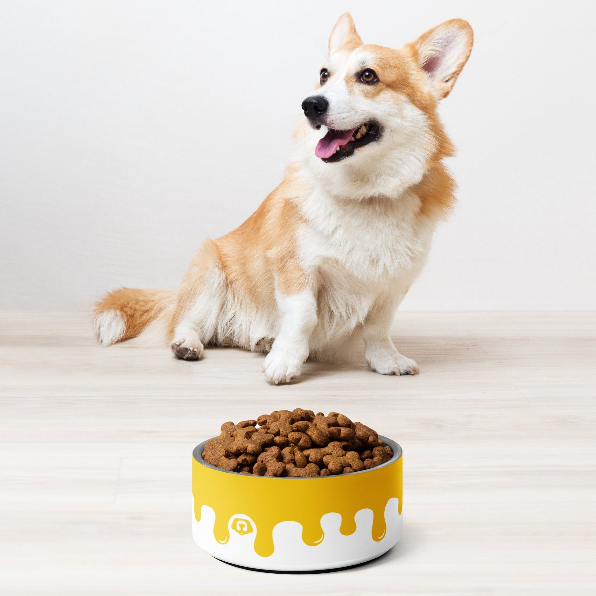 Pawcasso Cheesey Paint Drip 32oz Dog Bowl - Dog Bowls & Feeders - Wuforia