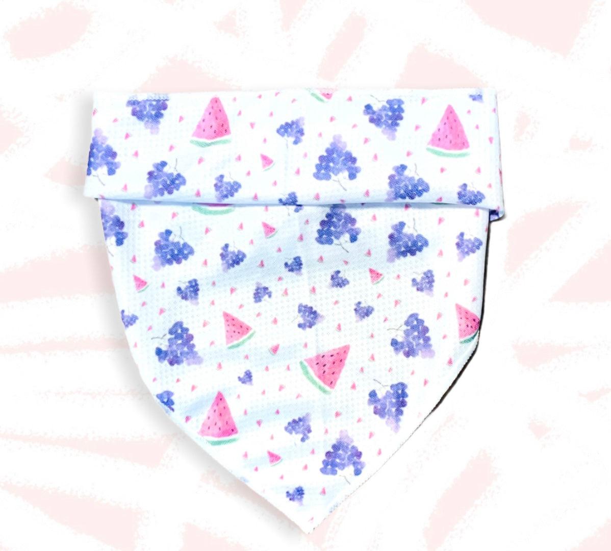 Watermelon grape pet harness set with vibrant fruit patterns for stylish dog walks