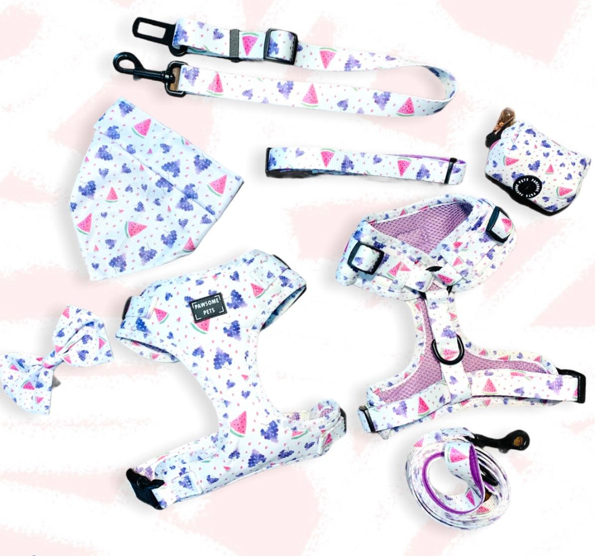 Watermelon grape pet harness set including leash, harness, bandana, and bowtie for stylish dogs