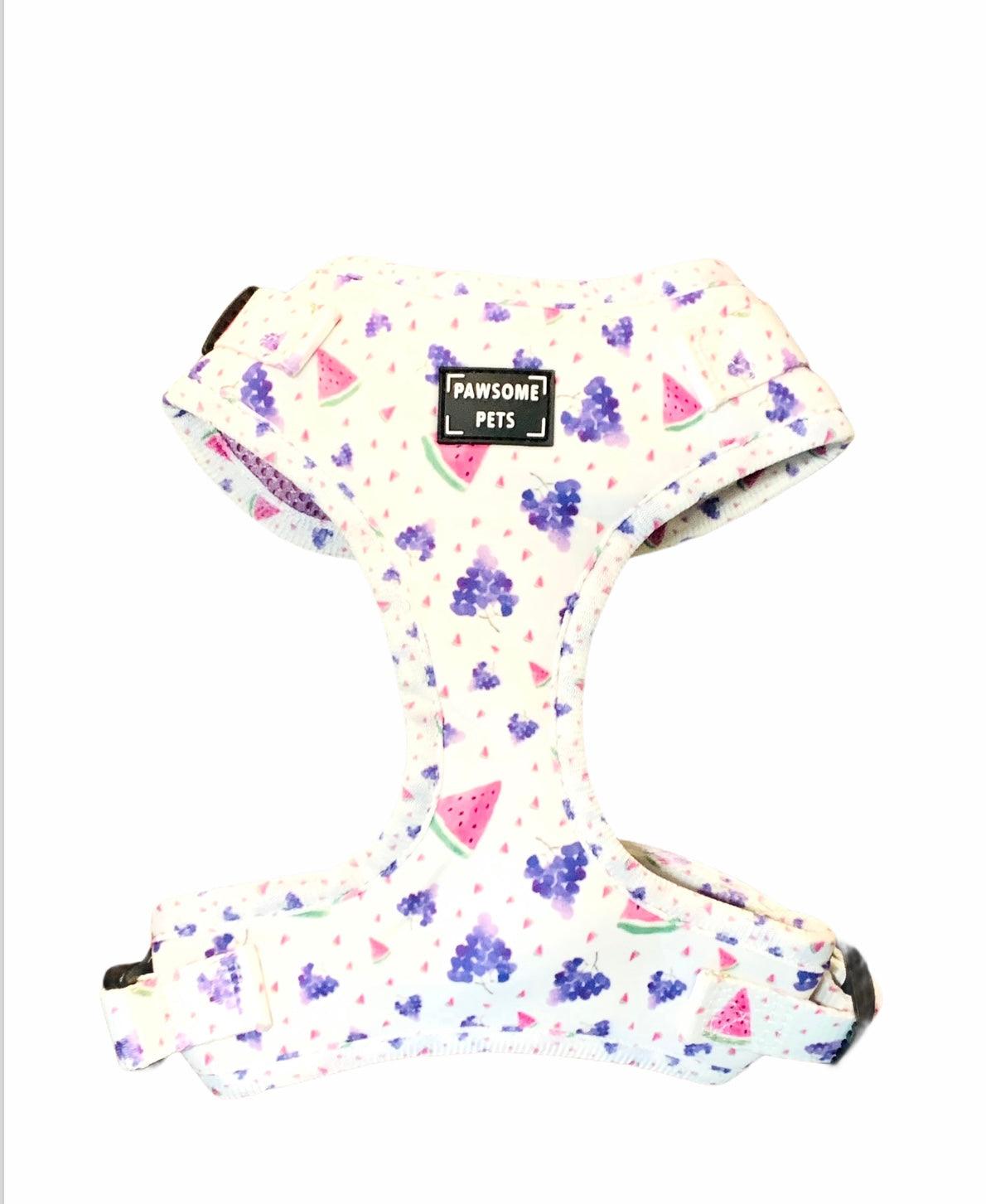 Watermelon grape pet harness set from Tail Chasers with a vibrant fruit pattern for stylish dogs