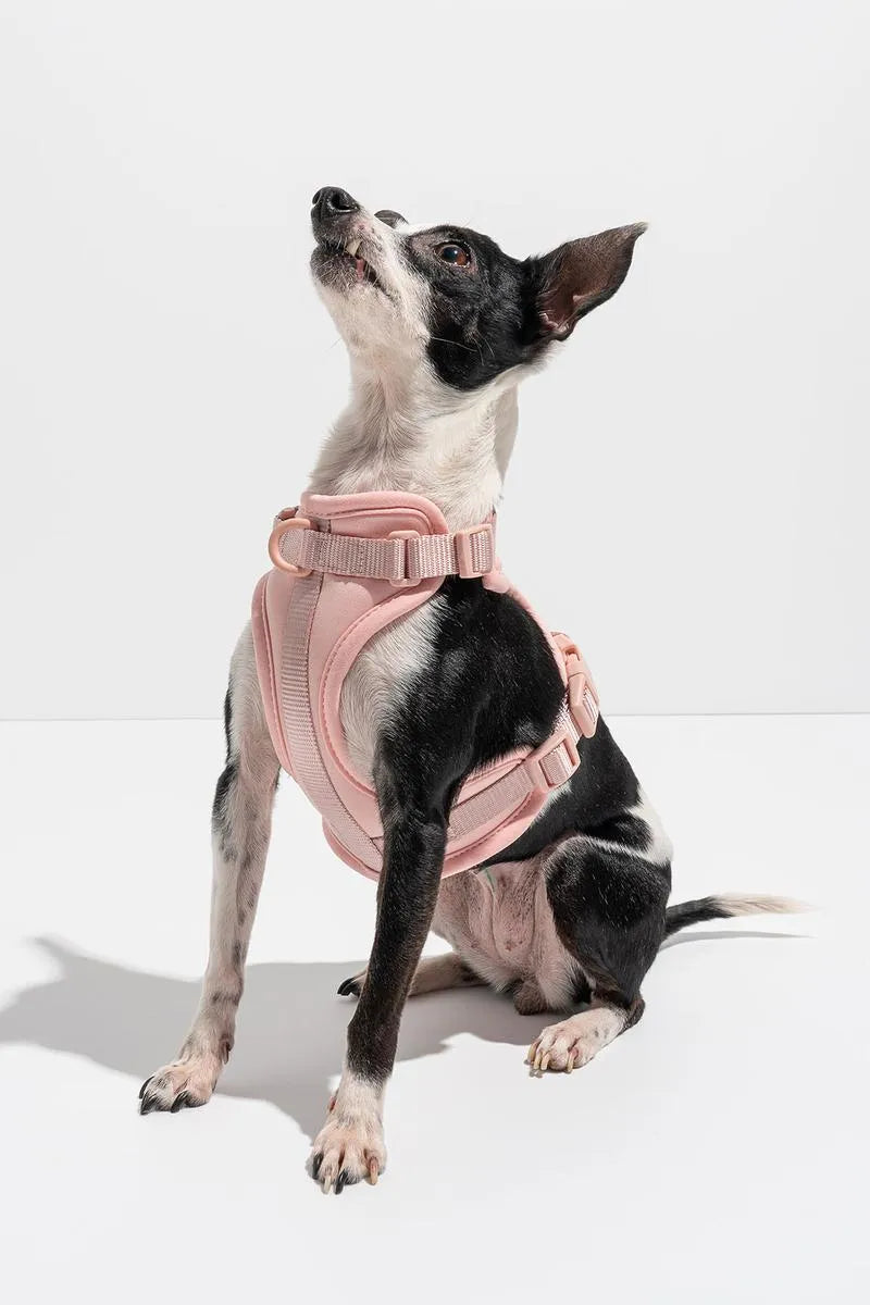 Pawmigo - Luxe Harness - Hibiscus - Dog Harnesses