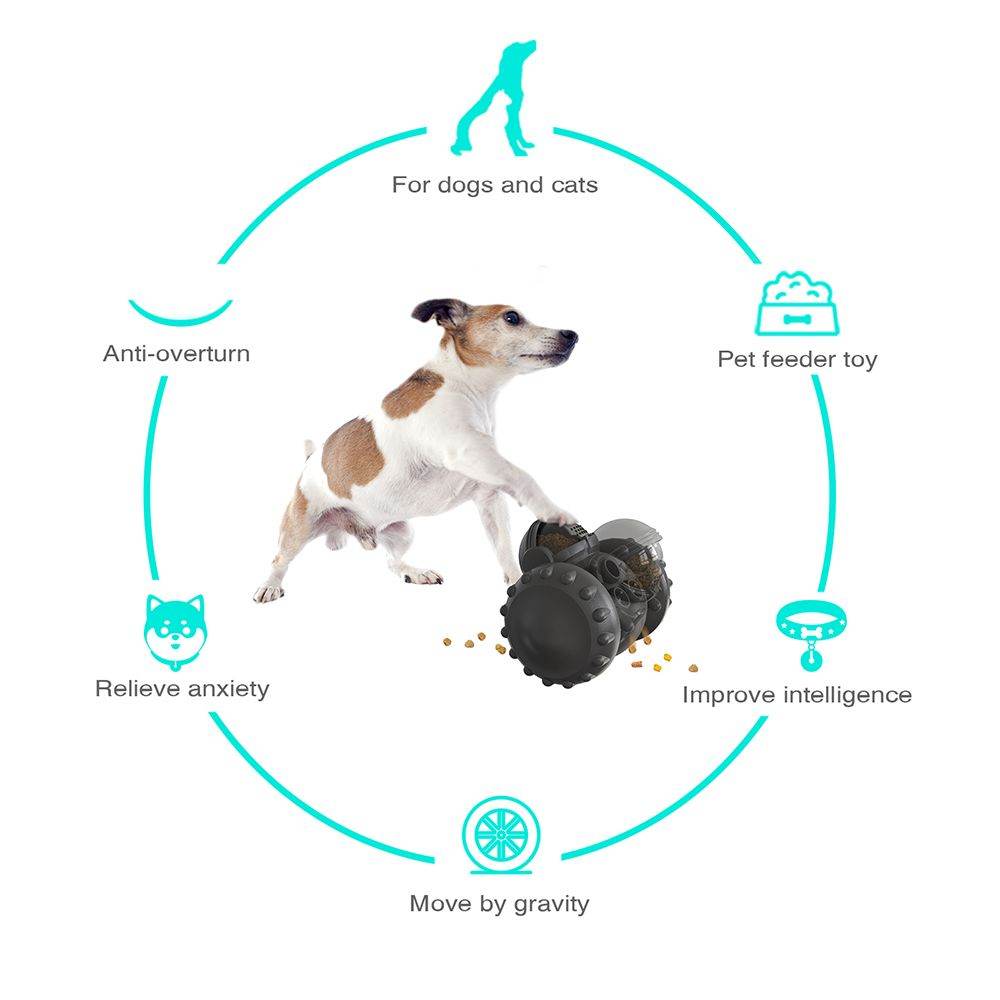 Purrfect Pet Kingdom Dog Enrichment Puzzle Toy Purrfect Pet Kingdom