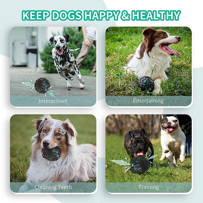 Purrfect Pet Kingdom Long-Lasting Dog Play Ball Toy Purrfect Pet Kingdom