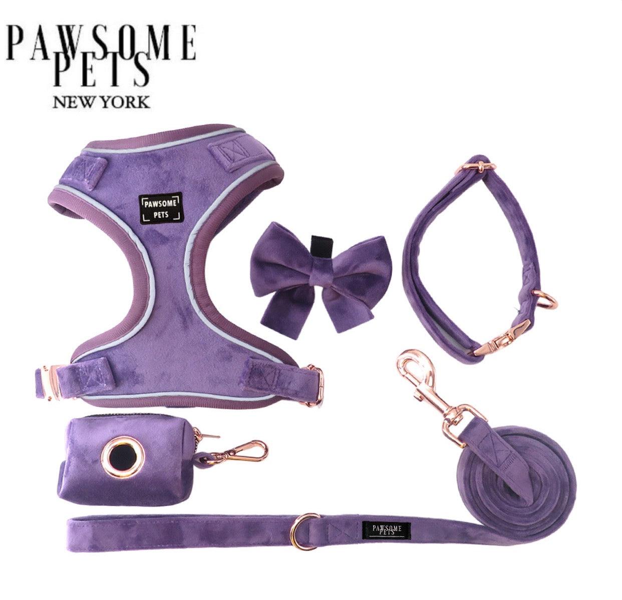 Comfortable dog walking set purple includes harness, leash, and accessories for stylish outdoor adventures