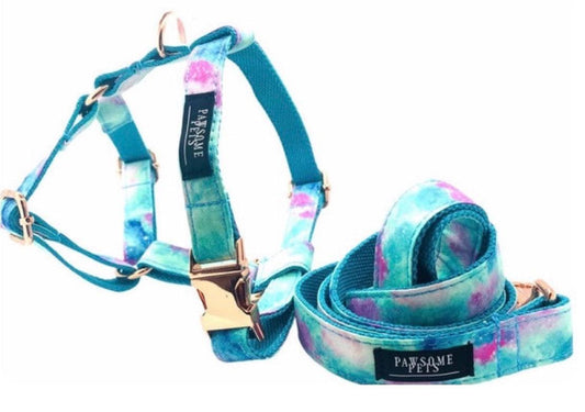 Colorful Tail Chasers no pull step in pet harness and leash set for comfortable walks with dogs