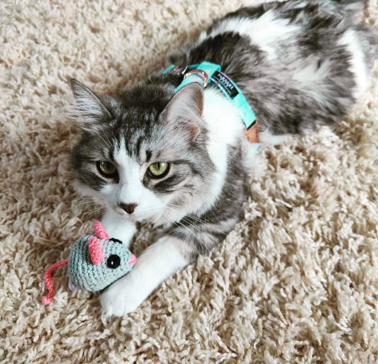 Tail Chasers no pull step in pet harness for cats, designed for comfort and easy wear