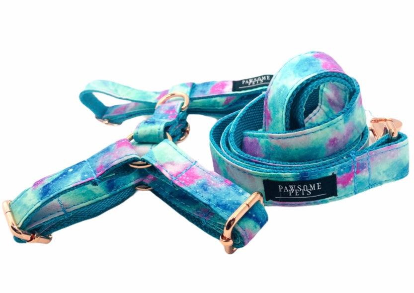 Colorful Tail Chasers no pull step in pet harness with matching leash for comfortable dog walks