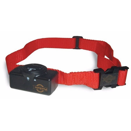 PetSafe Standard Bark Collar - PBC-102 - Purrfect Pet Kingdom