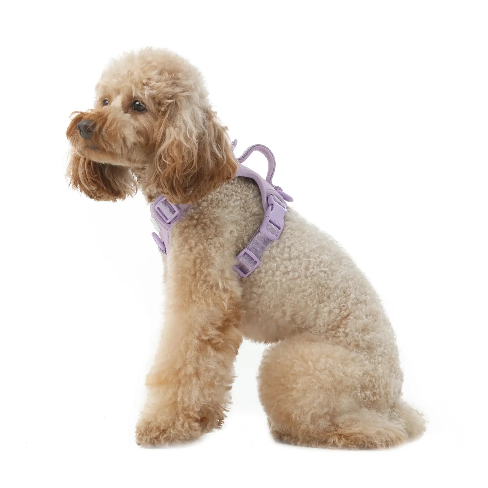 Purple Pehom Reflective No Pull Dog Harness by pehomnyc, adjustable, available in XS, S, M sizes, perfect for Shopify Coll...