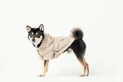 pehomnyc - BOWERY RAINCOAT - BEIGE