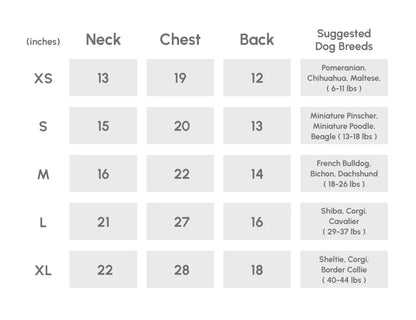 pehomnyc - BOWERY RAINCOAT - GRAY