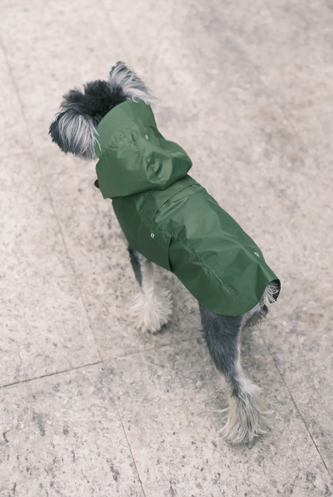 pehomnyc - Capsule Raincoat - Green