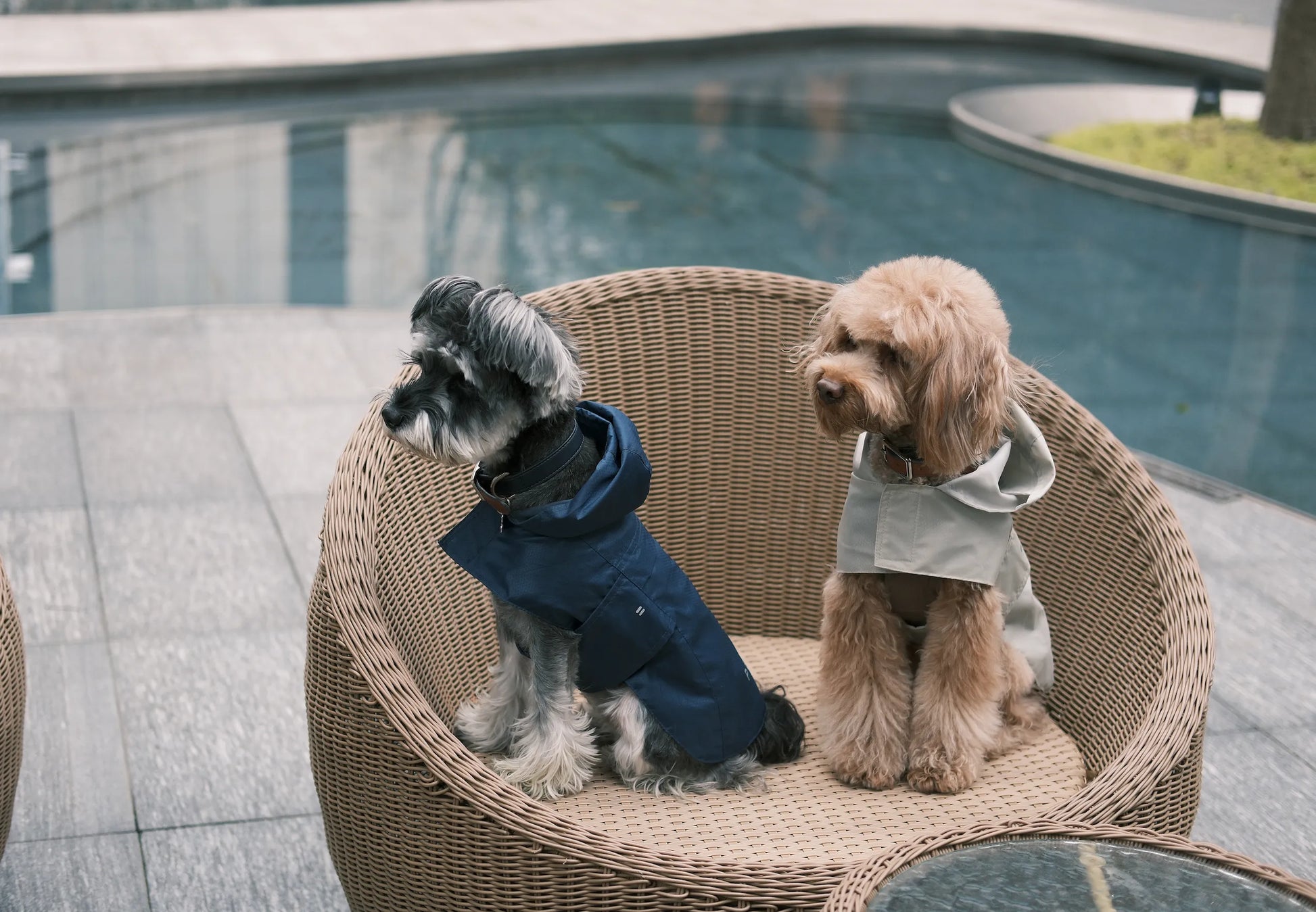 pehomnyc - Capsule Raincoat - Green