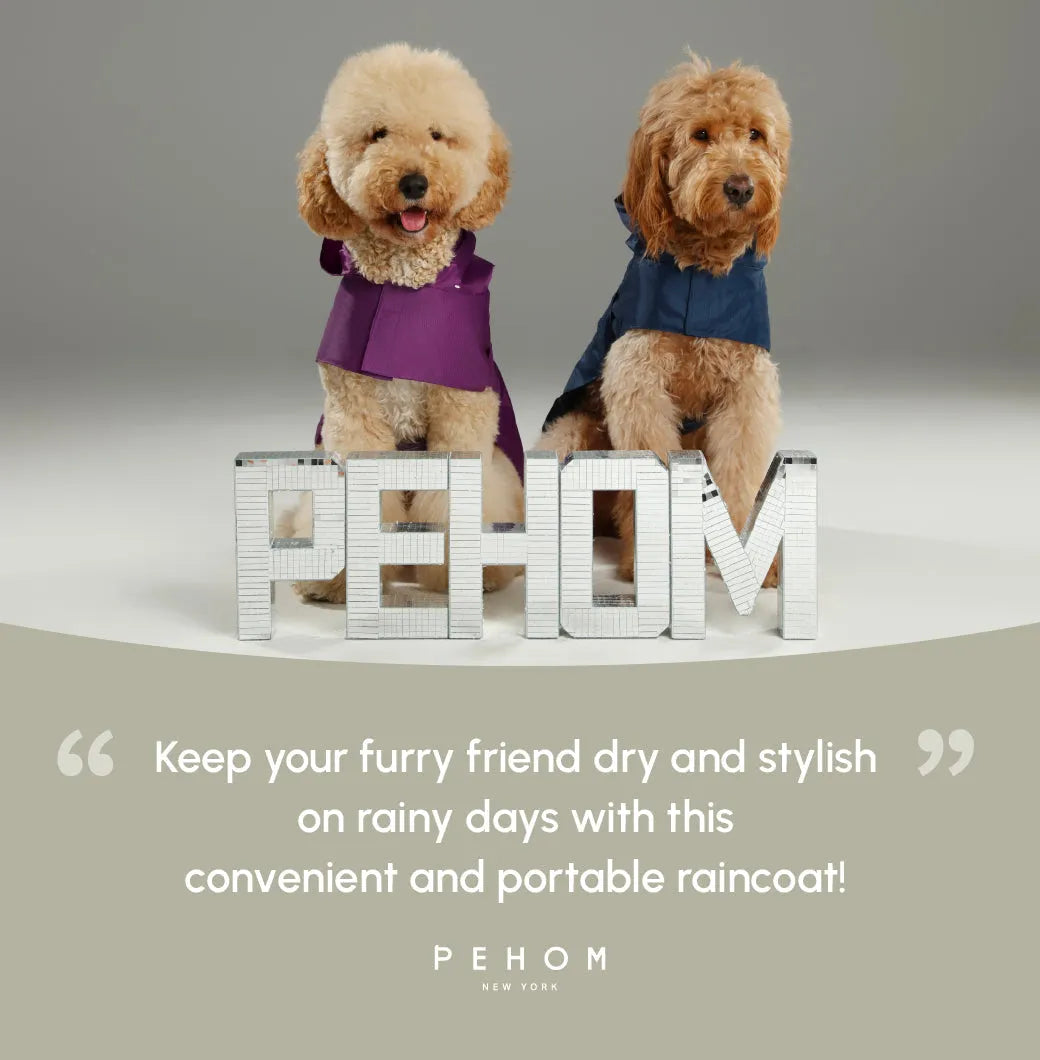 pehomnyc - Capsule Raincoat - Green