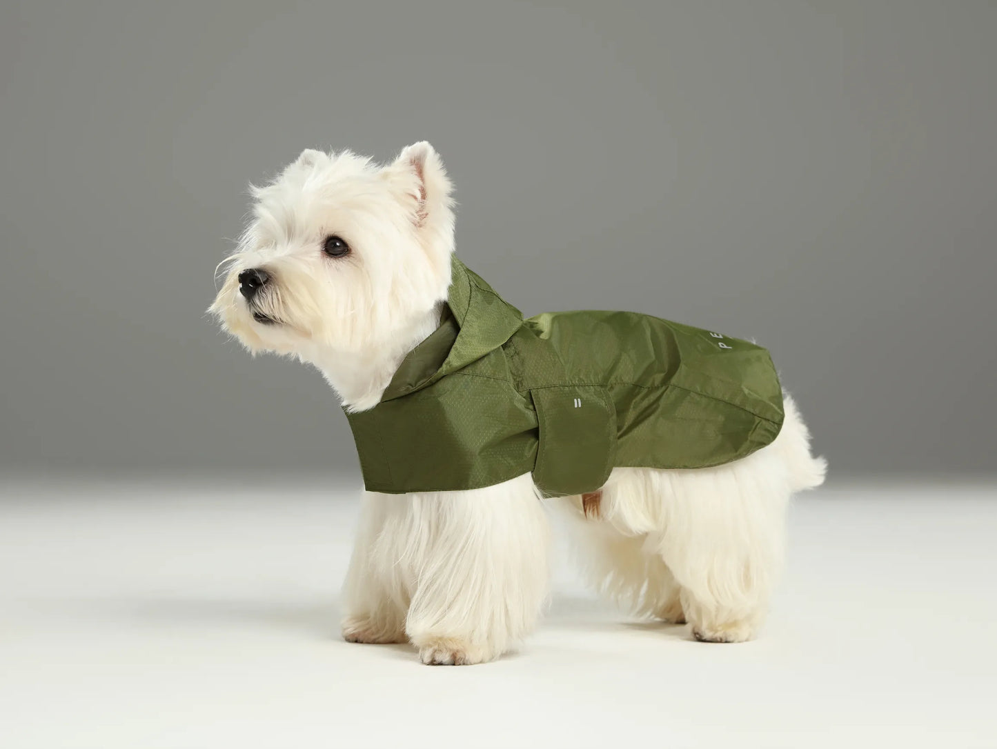 pehomnyc - Capsule Raincoat - Green