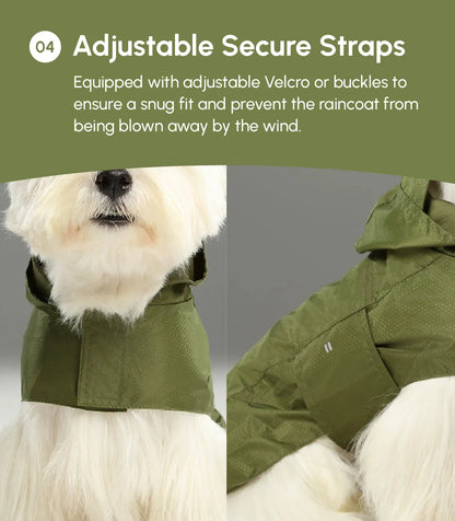 pehomnyc - Capsule Raincoat - Purple