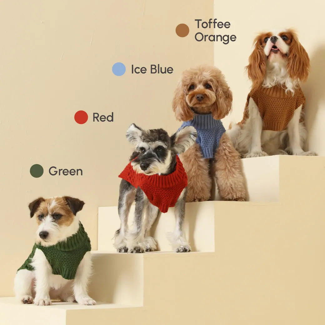 pehomnyc - Pet Sweater Vest - Green - Pet Sweater