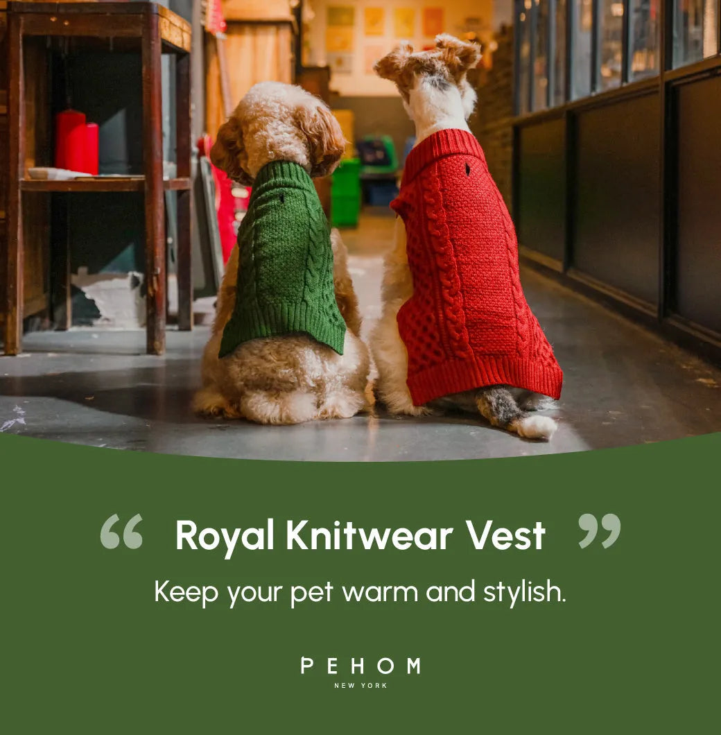 pehomnyc - Pet Sweater Vest - Green - Pet Sweater