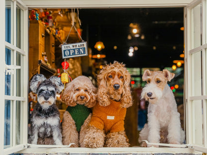 pehomnyc - Pet Sweater Vest - Green - Pet Sweater