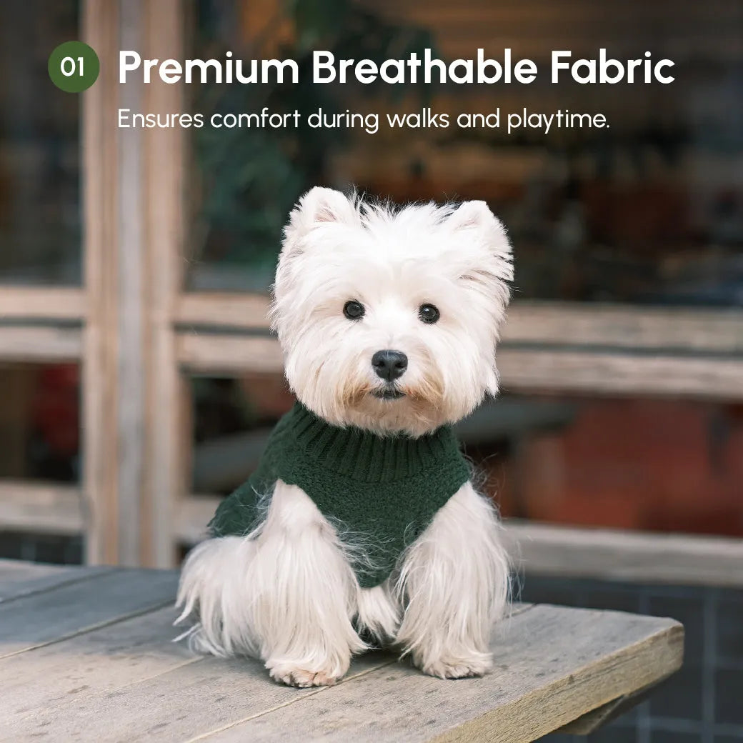 pehomnyc - Pet Sweater Vest - Green - Pet Sweater