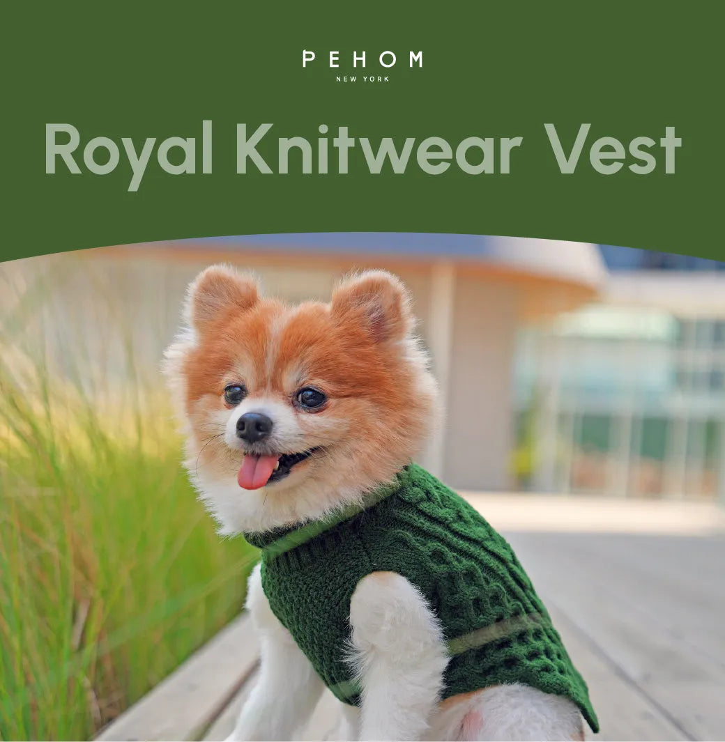pehomnyc - Pet Sweater Vest - Green - Pet Sweater