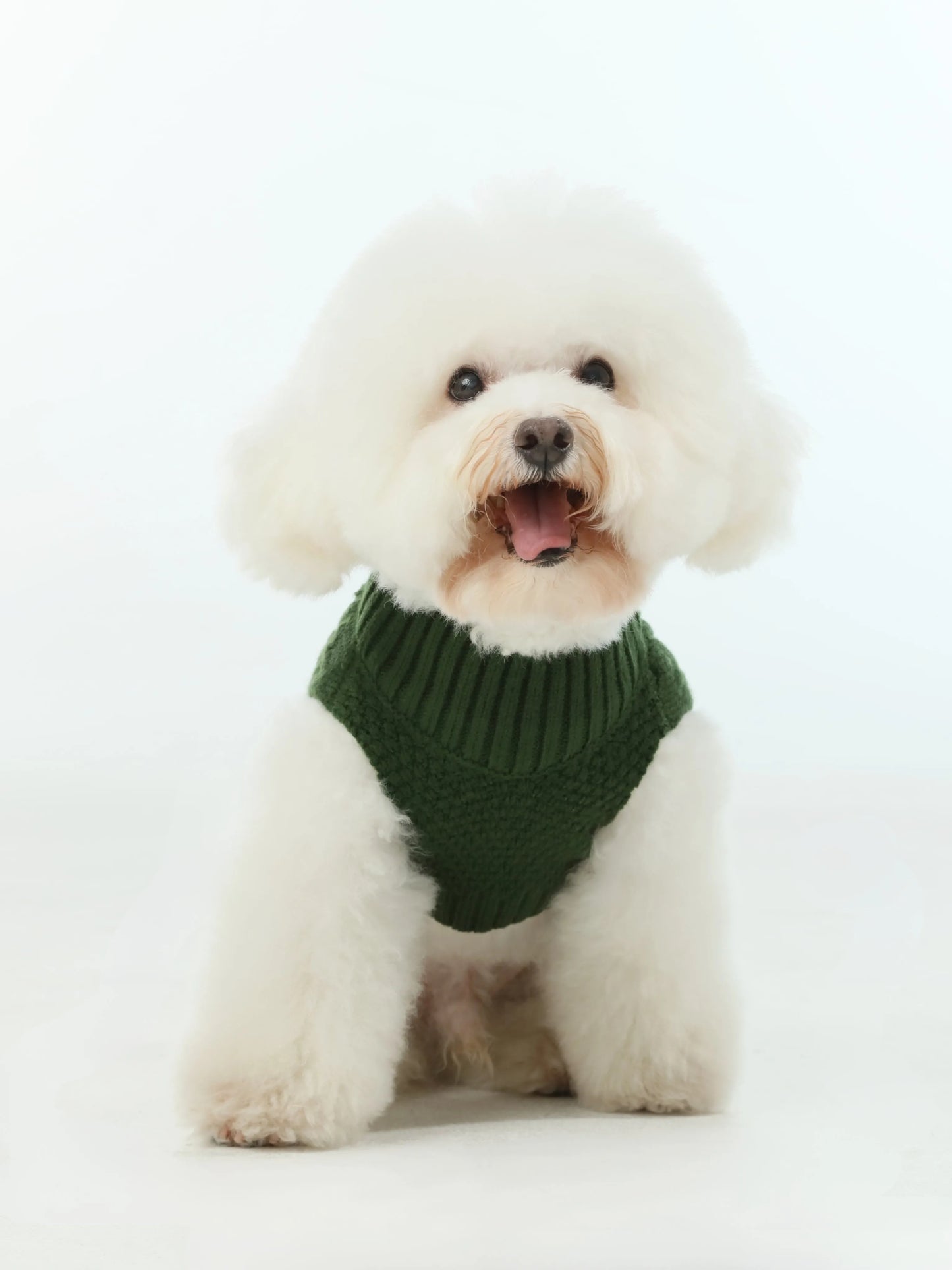 pehomnyc - Pet Sweater Vest - Green - Pet Sweater