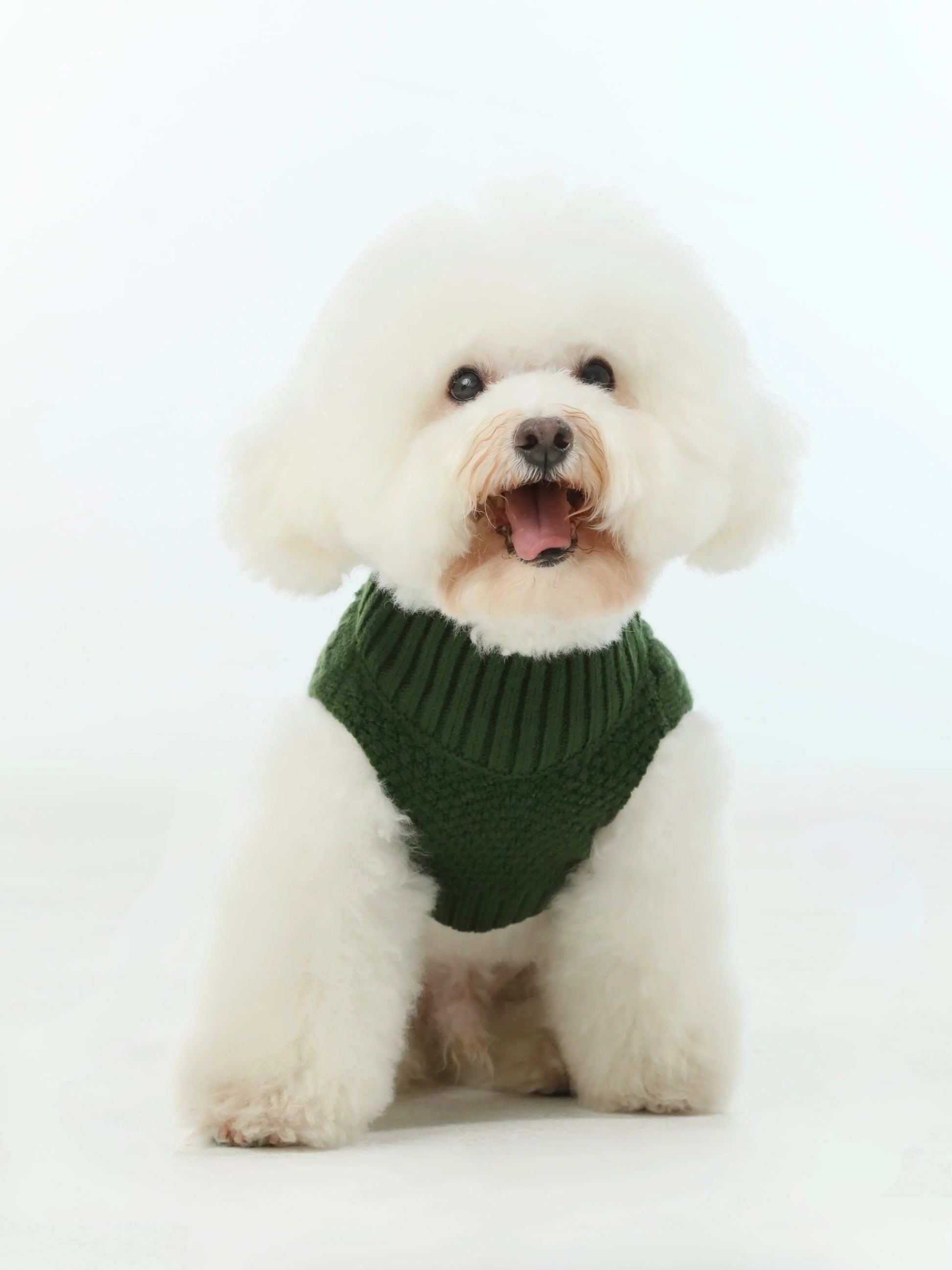 pehomnyc - Pet Sweater Vest - Green - Pet Sweater
