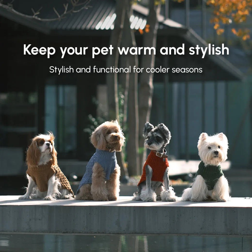 pehomnyc - Pet Sweater Vest - Green - Pet Sweater