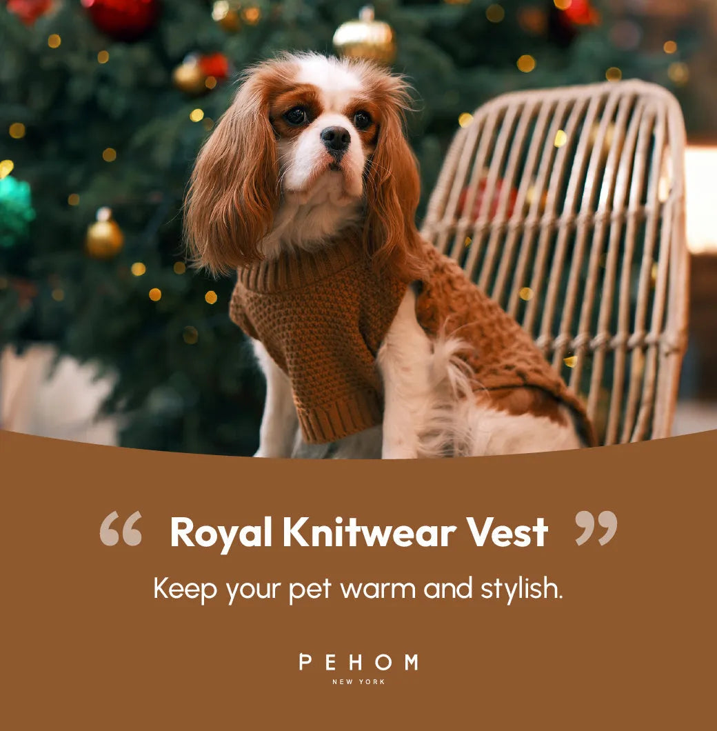 pehomnyc - Pet Sweater Vest - Toffee Orange - Pet Sweater