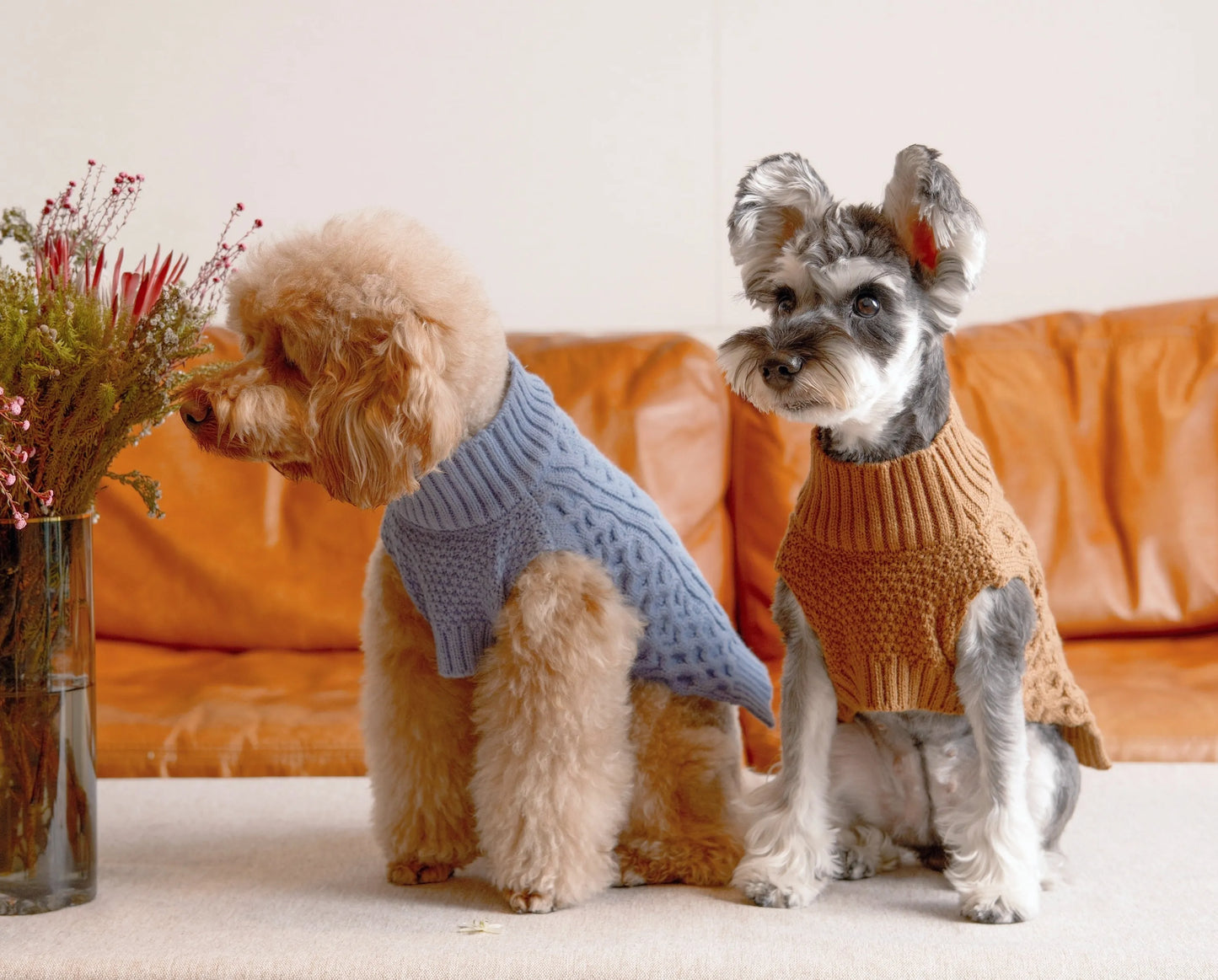 pehomnyc - Pet Sweater Vest - Toffee Orange - Pet Sweater