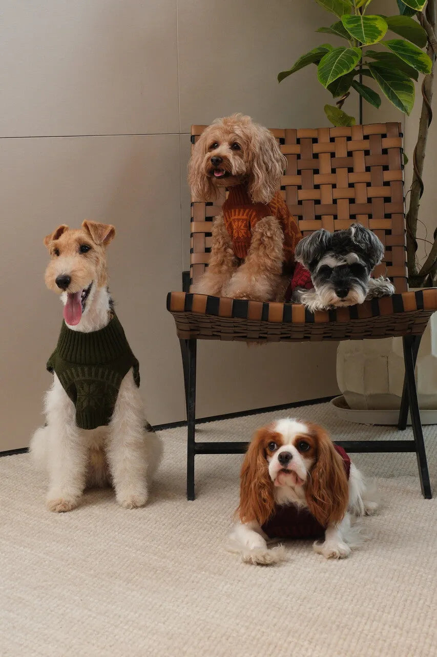 pehomnyc - Pretzel Pet Sweater - Olive Green - Pet Sweater