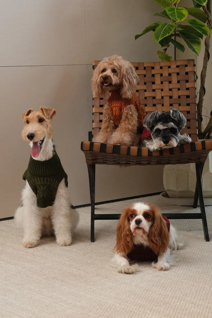 pehomnyc - Pretzel Pet Sweater - Olive Green - Pet Sweater