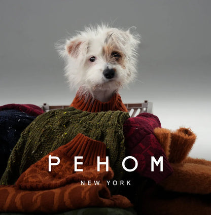 pehomnyc - Pretzel Pet Sweater - Tofee Orange - Pet Sweater