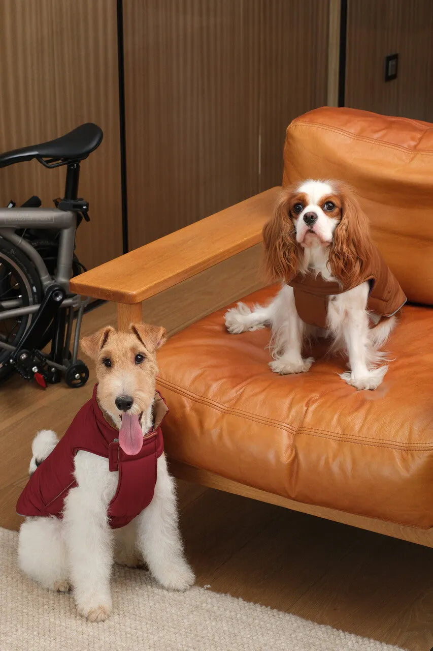 pehomnyc - Reversible Dog Vest Jacket -  Red Brown - Pet Vest