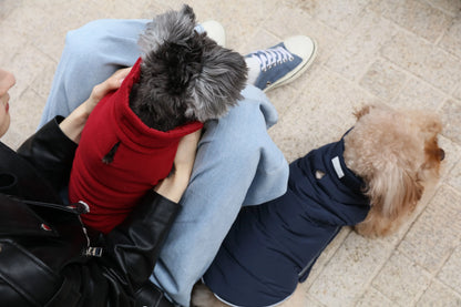 pehomnyc - Reversible Dog Vest Jacket - Red - Pet Vest