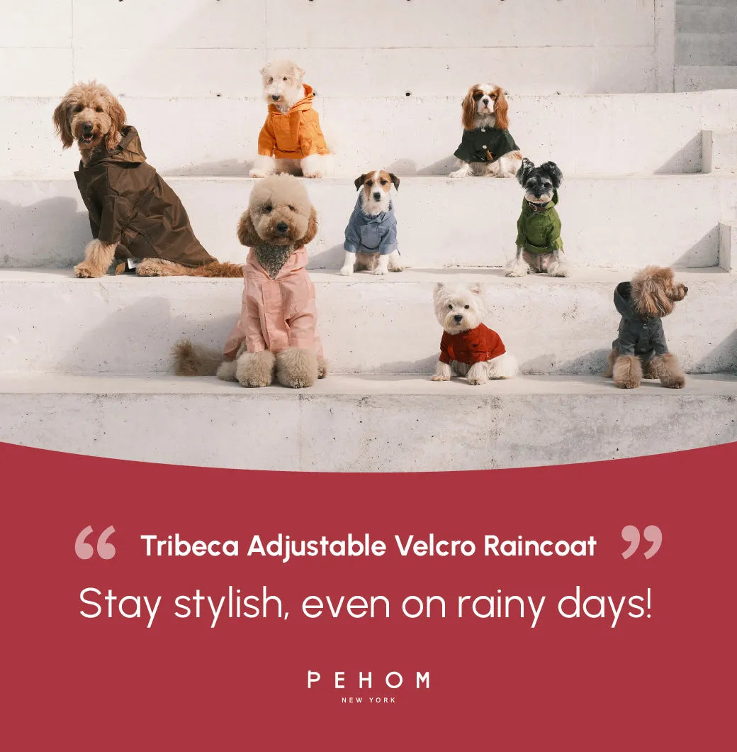 pehomnyc - Tribeca adjustable velcro raincoat -  Burgundy