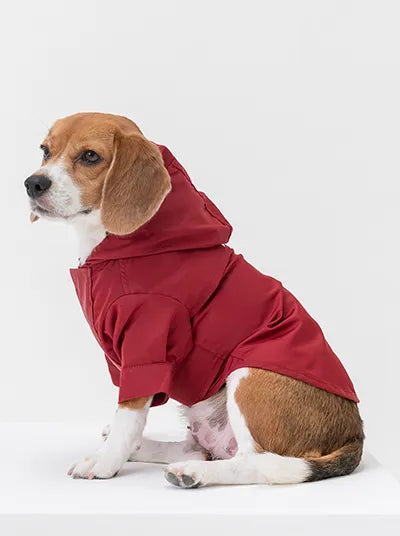 pehomnyc - Tribeca adjustable velcro raincoat -  Burgundy