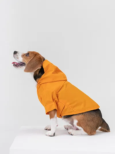 pehomnyc - Tribeca adjustable velcro raincoat - Egg Yolk