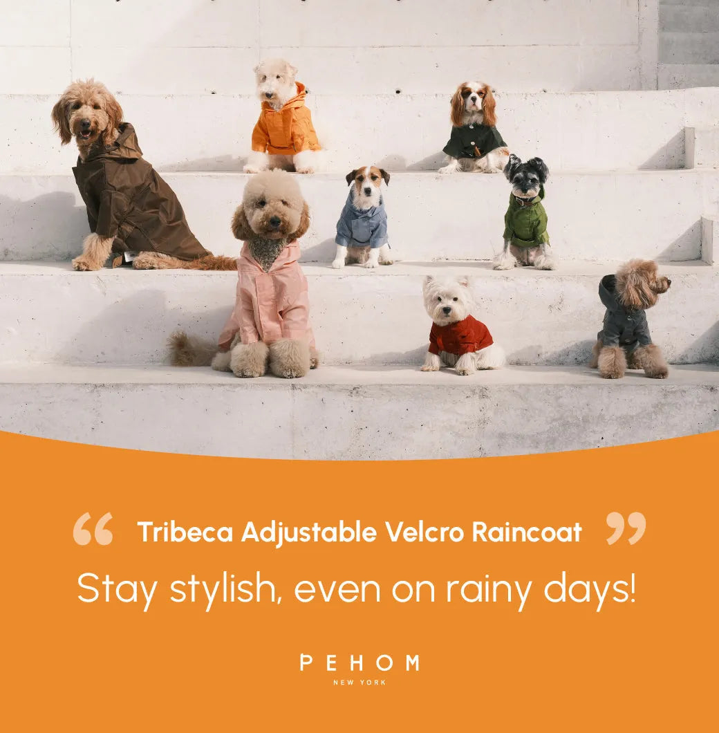 pehomnyc - Tribeca adjustable velcro raincoat - Egg Yolk