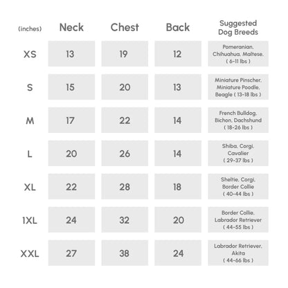 pehomnyc - Tribeca adjustable velcro raincoat - Egg Yolk