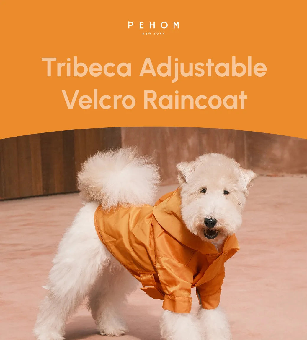 pehomnyc - Tribeca adjustable velcro raincoat - Egg Yolk