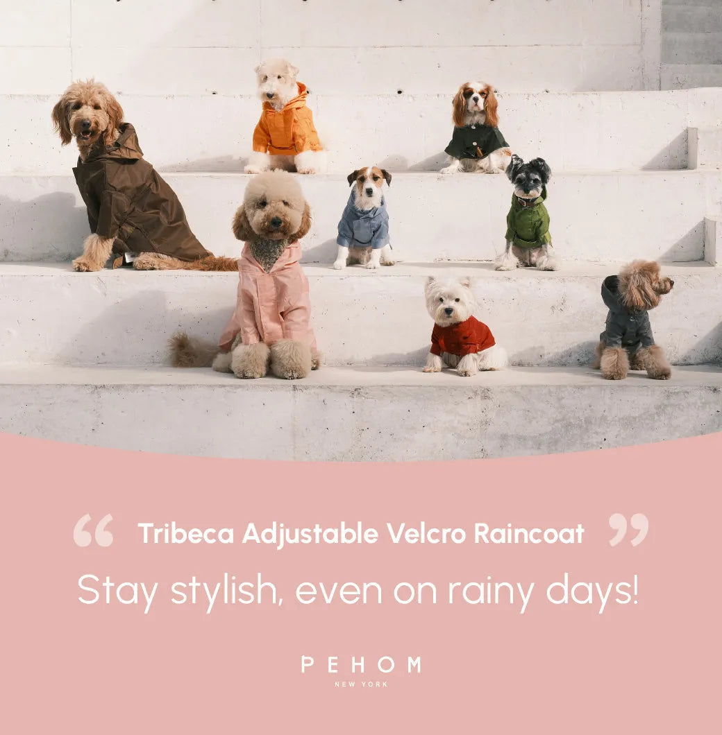 pehomnyc - Tribeca adjustable velcro raincoat - Light Pink