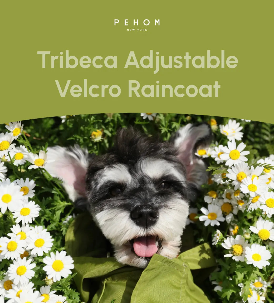 pehomnyc - Tribeca adjustable velcro raincoat - Olive