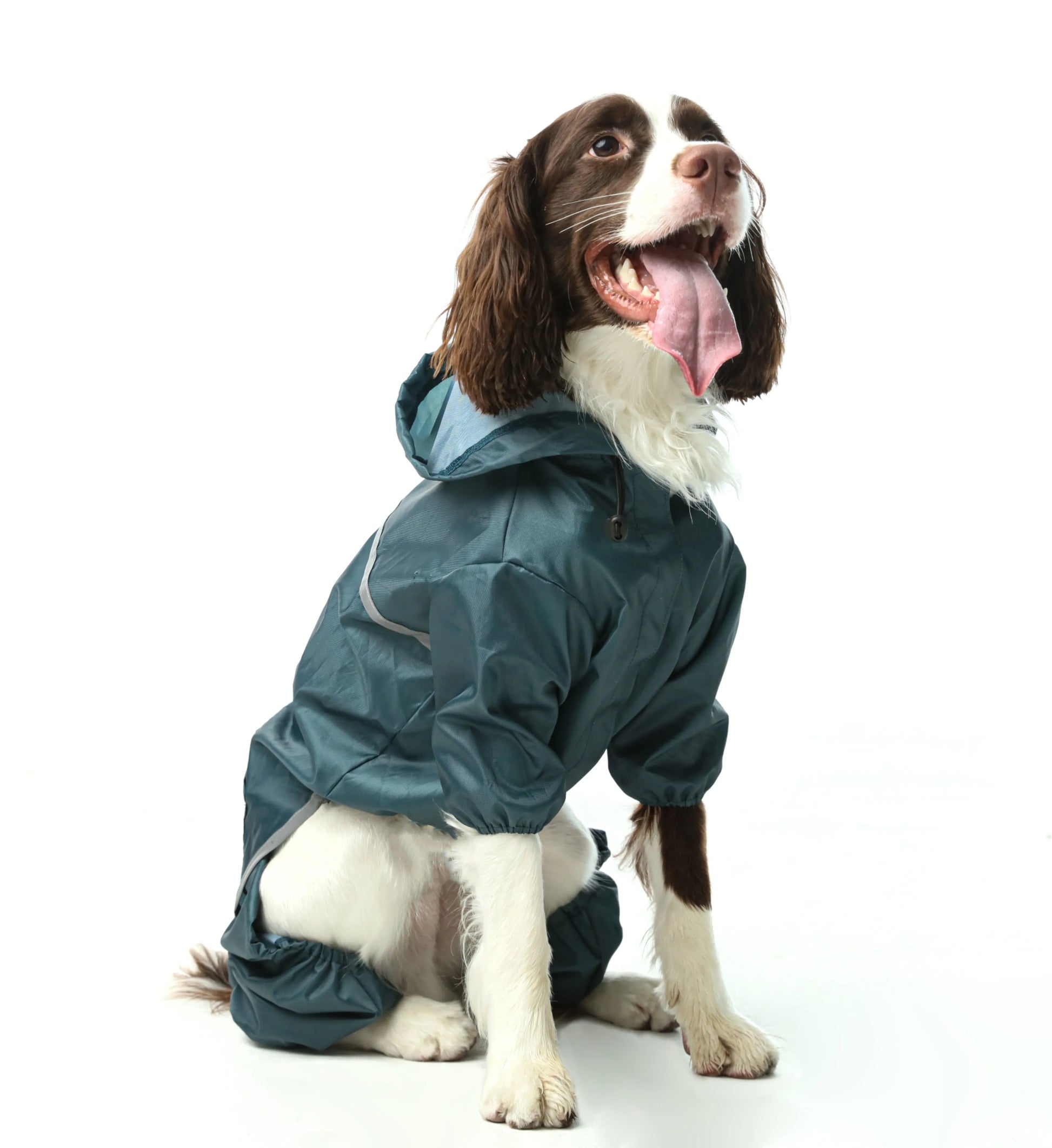 pehomnyc - Ultralight Full covered hooded waterproof dog jacket - Blue