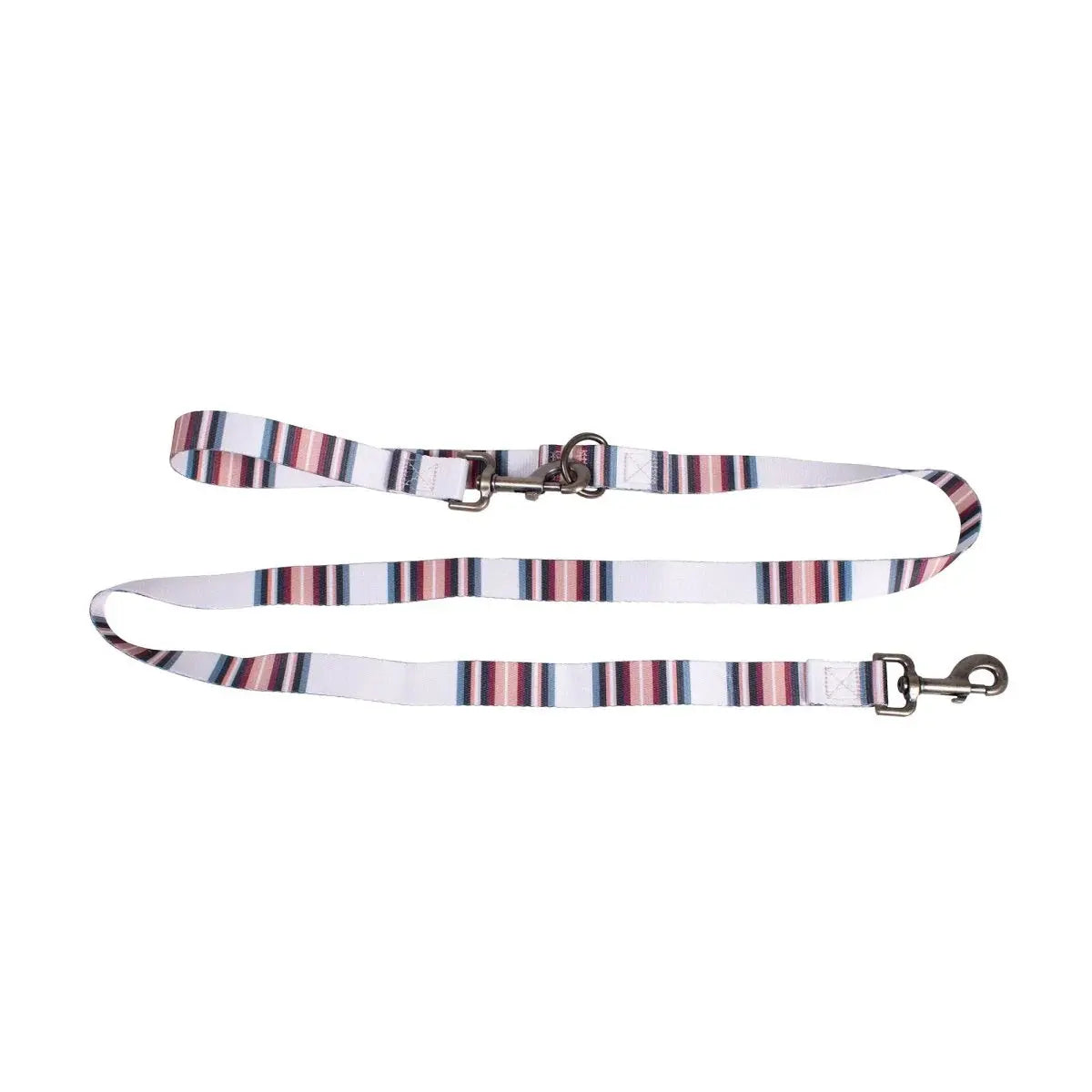 Pendleton Adventure dog leash featuring colorful stripes and a sturdy clip for secure walks