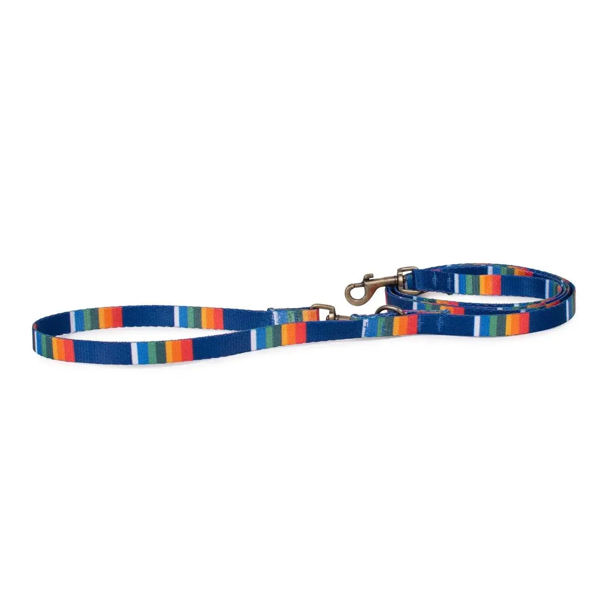 Pendleton National Park dog leash in vibrant blue with colorful striped design for stylish pet outings